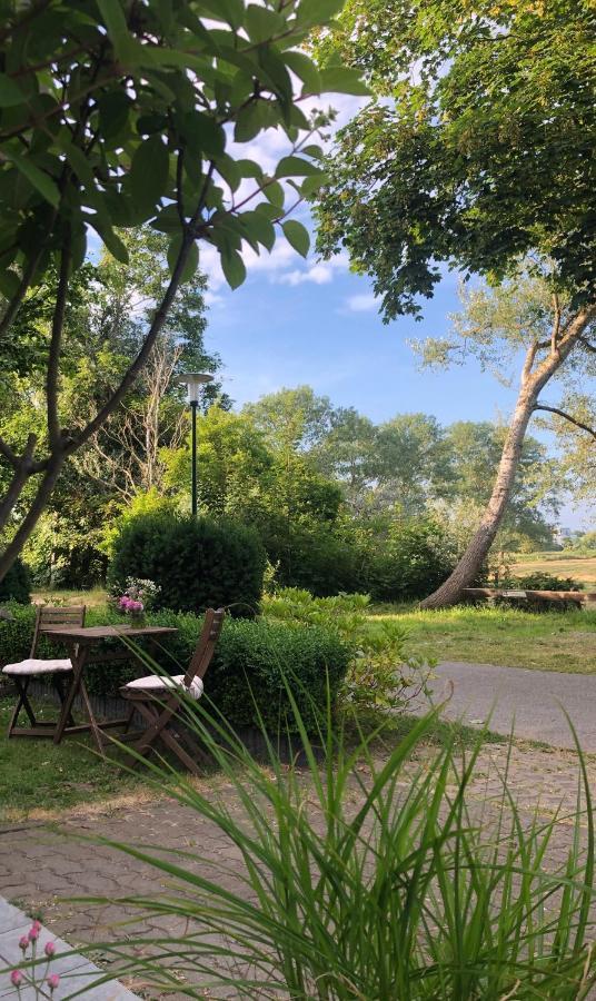 Gruenblau Relax Pension & Apartments 罗斯托克 外观 照片